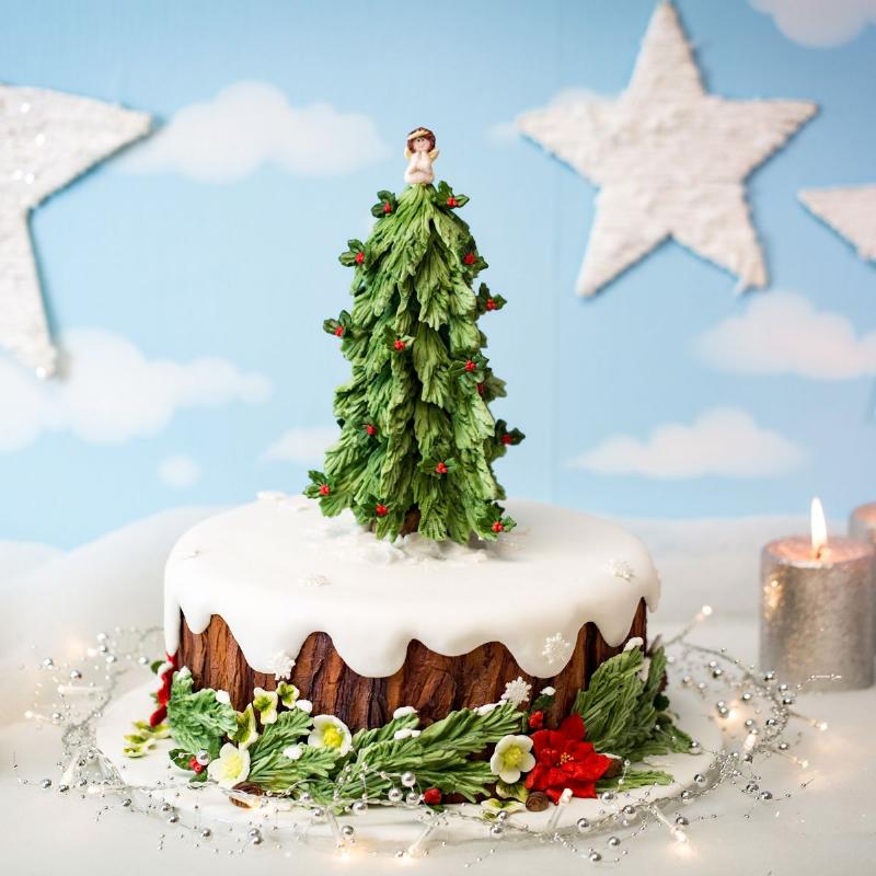 Julestjerne Silikoneform - Karen Davies til Bagning