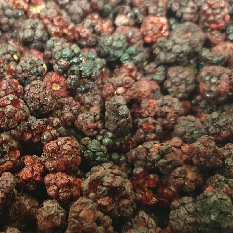 Hele Frysetørret Brombær 20g - Fantastisk tilbud!